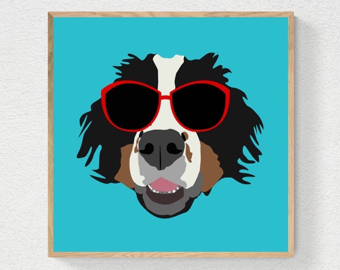 Bernese Mountain Dog in Red Sunglasses