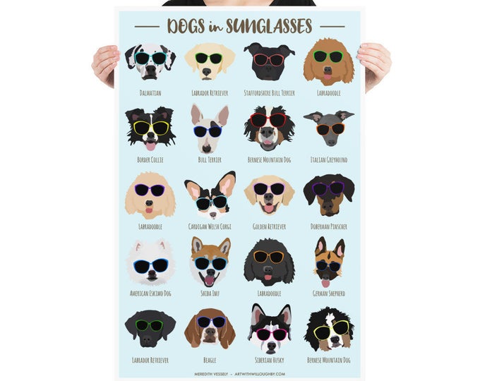 Dogs in Sunglasses Poster
